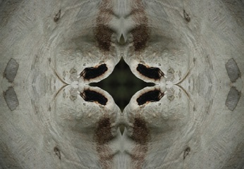 IMG_4101Kal1.jpg